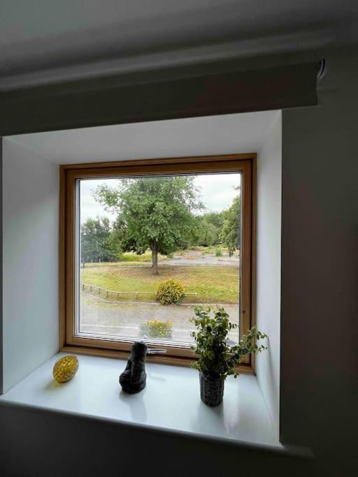 2 Bedroom Eco House With South Facing Balcony Nottingham