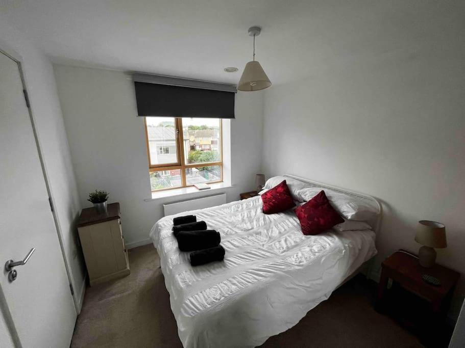 Apartment 2 Bedroom Eco House With South Facing Balcony Nottingham